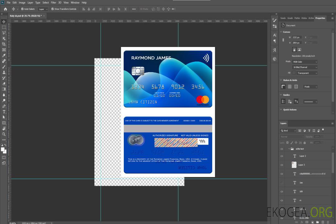 Mastercard de la Raymond James Financial Bank aux États-Unis template